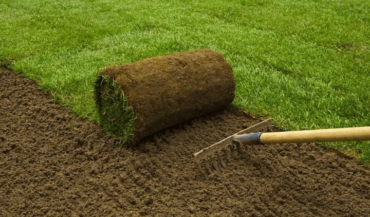 Prato Pronto A Rotoli 40mq - Erba Naturale 1a Scelta, 80 Rotoli Per Giardino, NO Sintetico - Foto 3